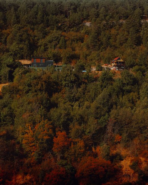 Scenic autumn view of forested hillside in Safranbolu, Türkiye with houses amidst the trees.