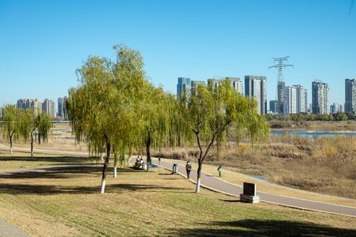 Free Tranquil park in Luoyang with modern skyline, trees, and walkway on a sunny day. Stock Photo