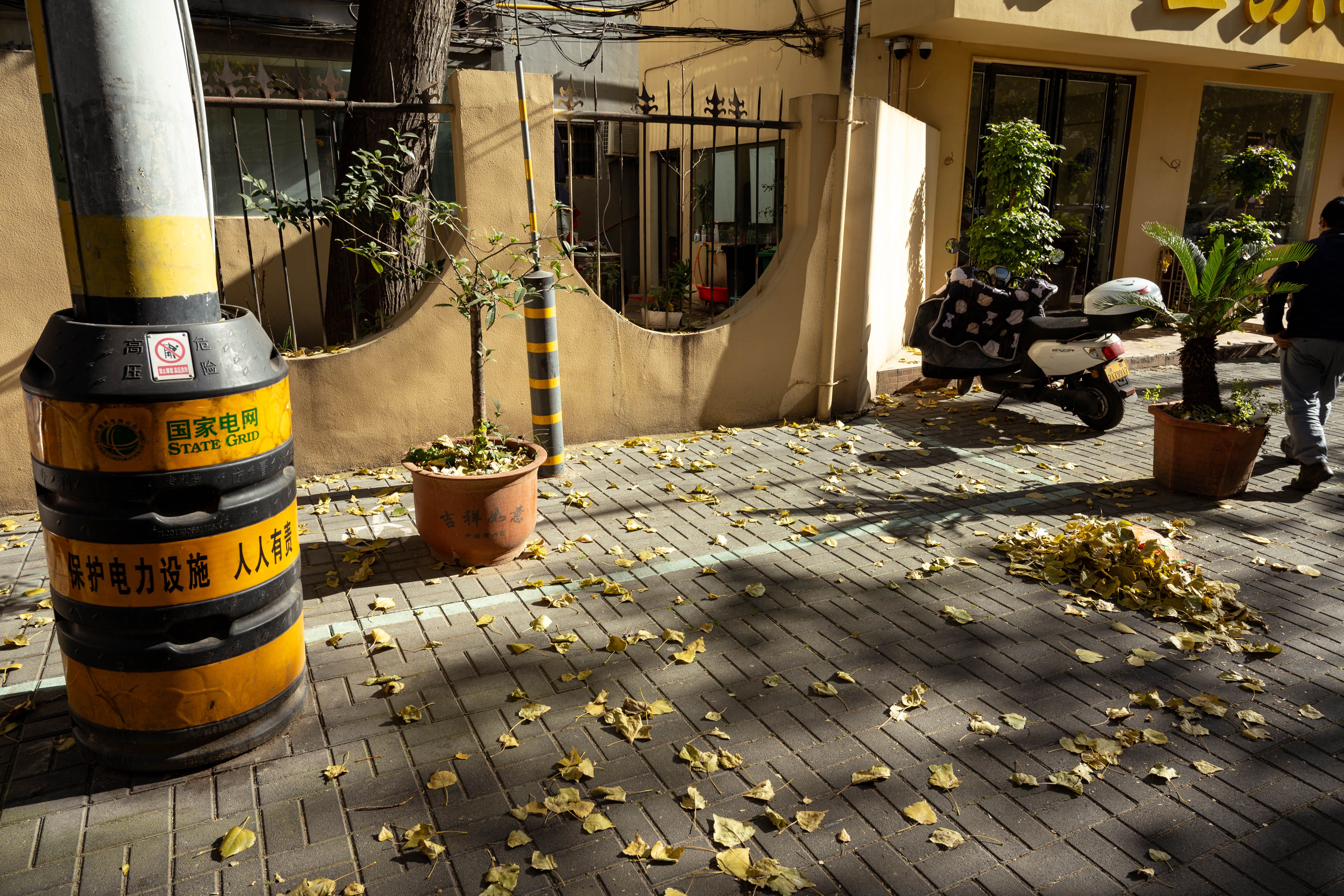 Autumn street scene with fallen leaves, a parked motorcycle, and plants along a roadside.