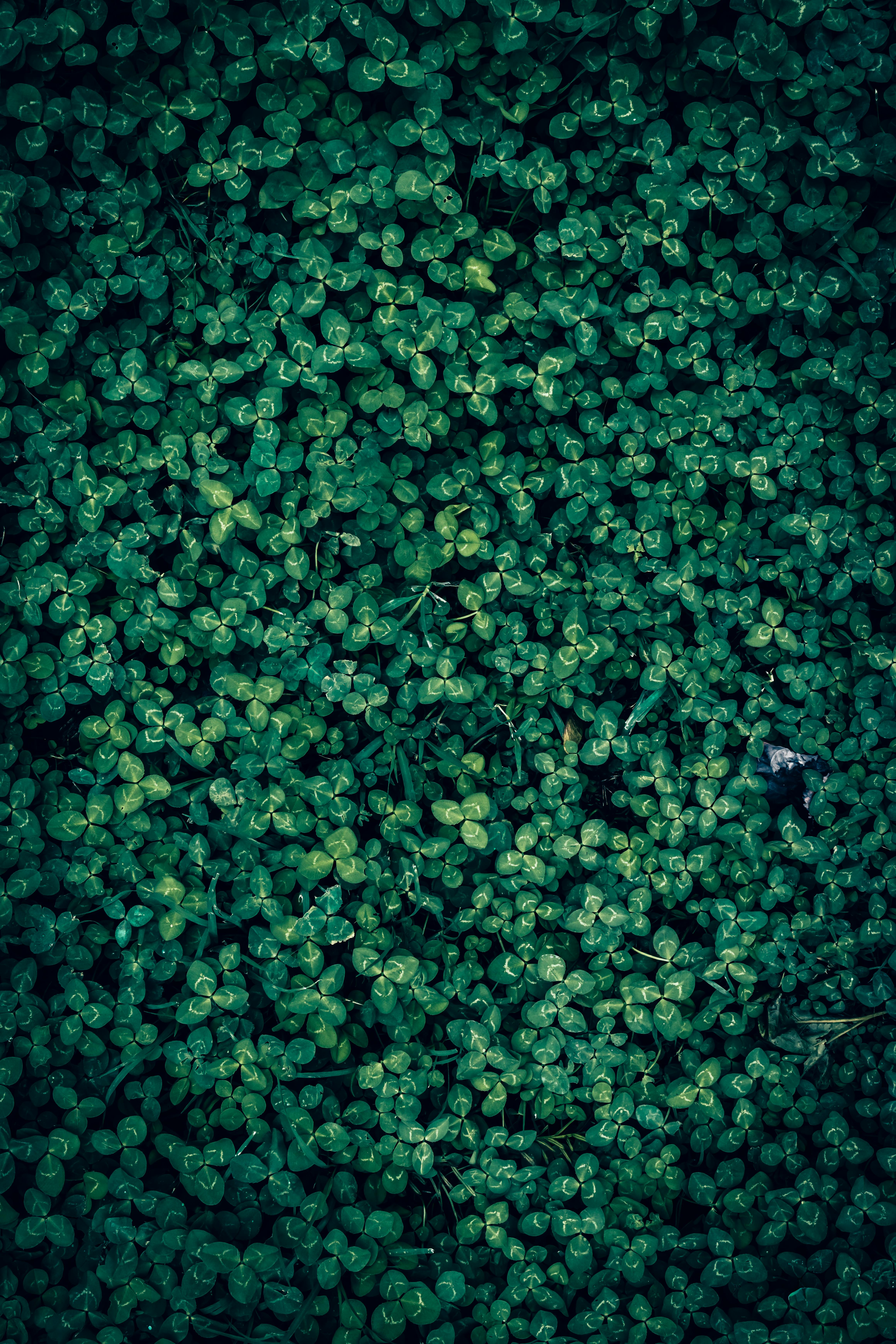 grátis Foto profissional grátis de @exterior, abstrair, ambiental Foto profissional