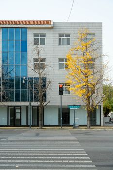 City street with a yellow autumn tree and modern building in Luoyang, China.