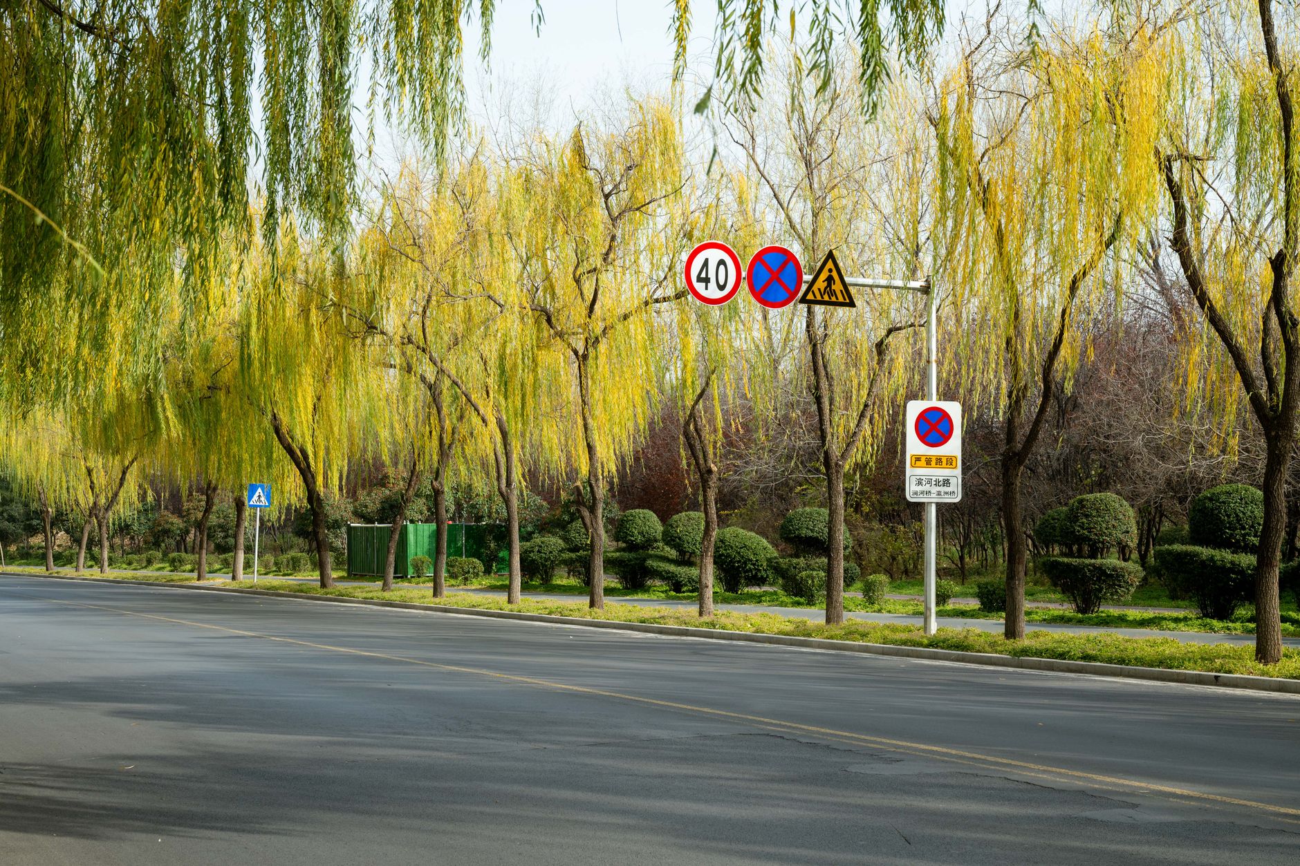 Scenic view of a tree-lined street with traffic signs in Luoyang, Henan Province, China.