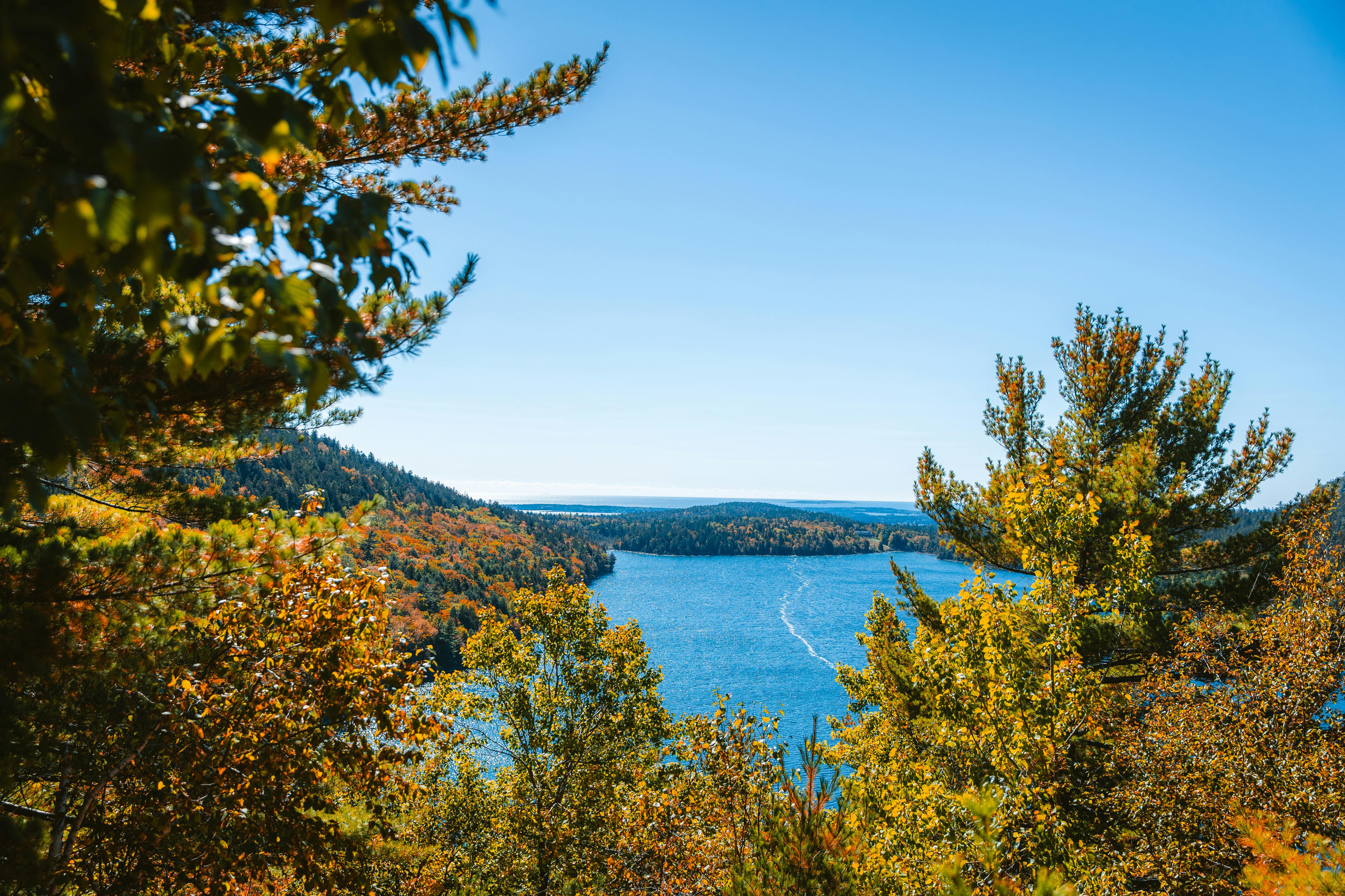 Maine college adding online programs for cannabis certifications — Photo by Nicole Seidl on Pexels