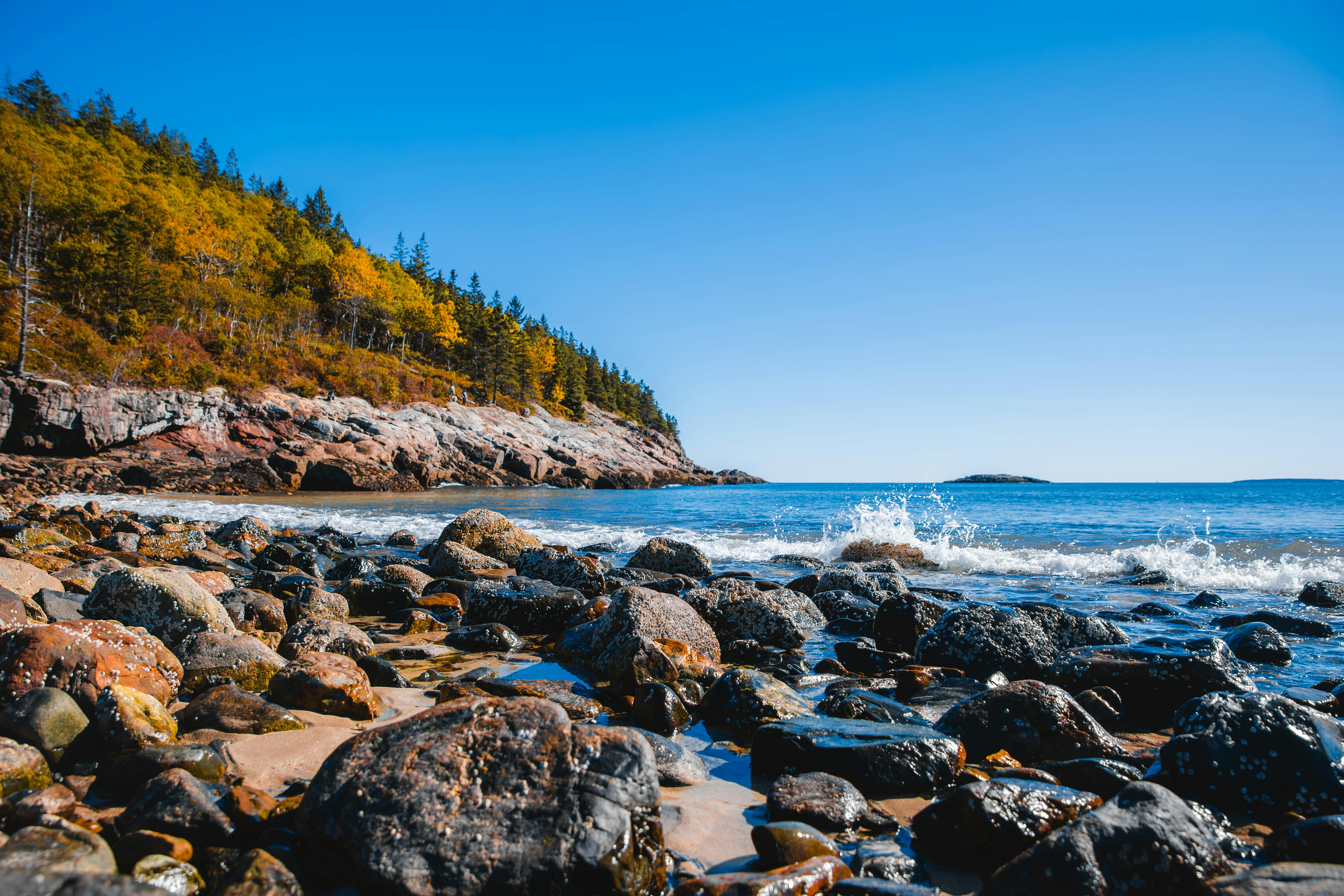 Rocky ocean shoreline with waves crashing and autumn-colored trees along a coastal cliff under a clear blue sky.