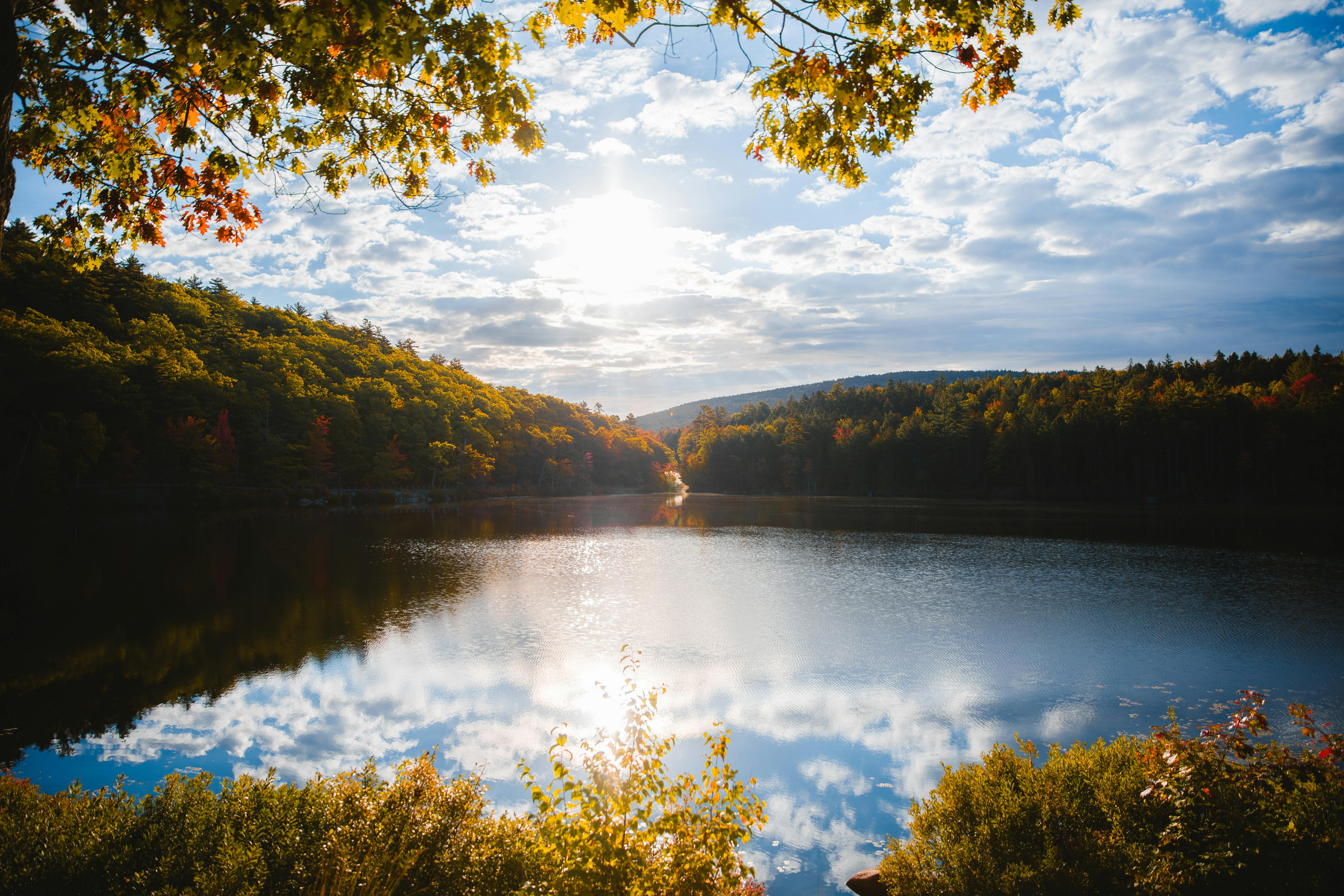 UConn climate conference focuses on building resilience across New England — Photo by Nicole Seidl on Pexels