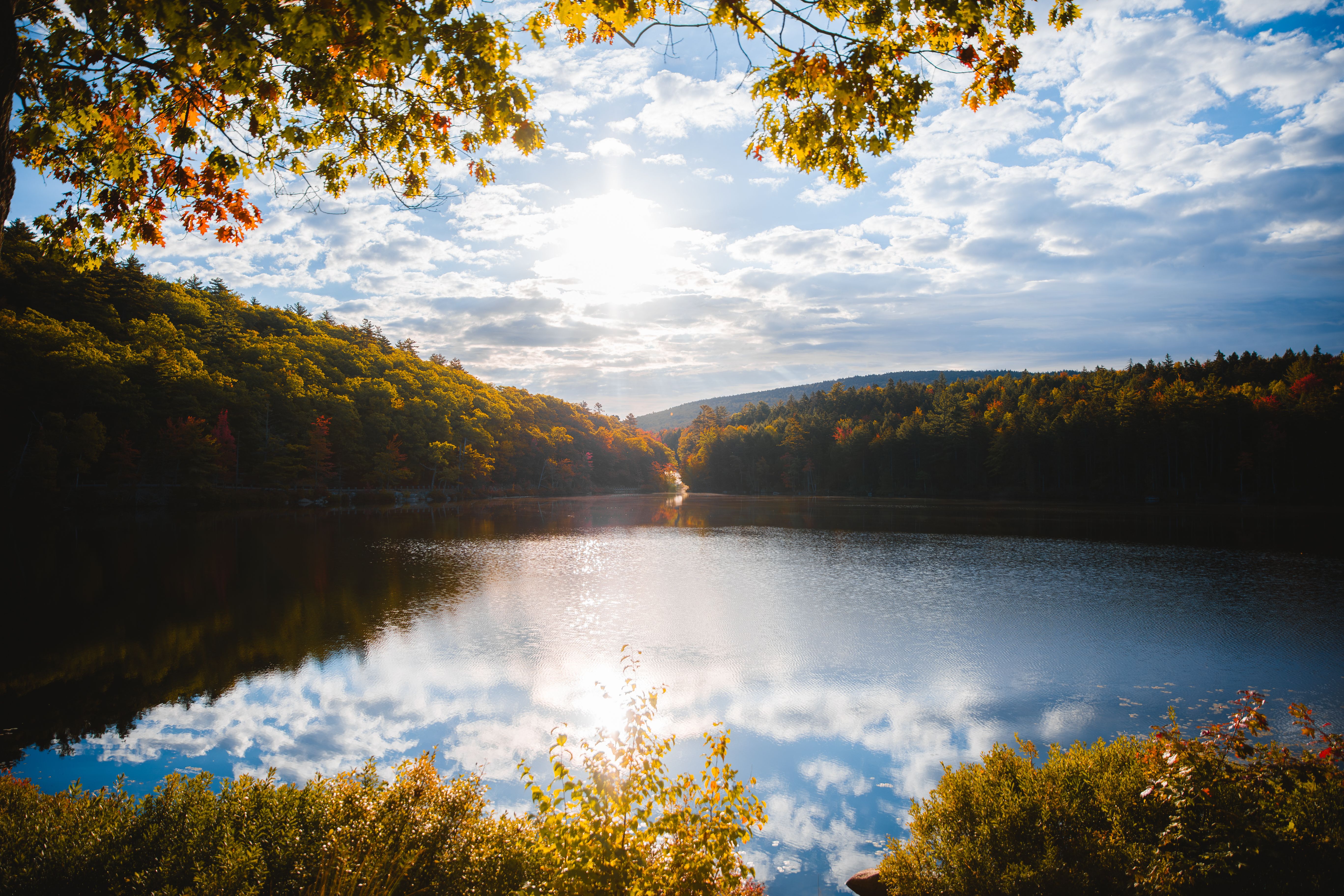 Tranquil Lake in Autumn at Sunrise, Maine · Free Stock Photo