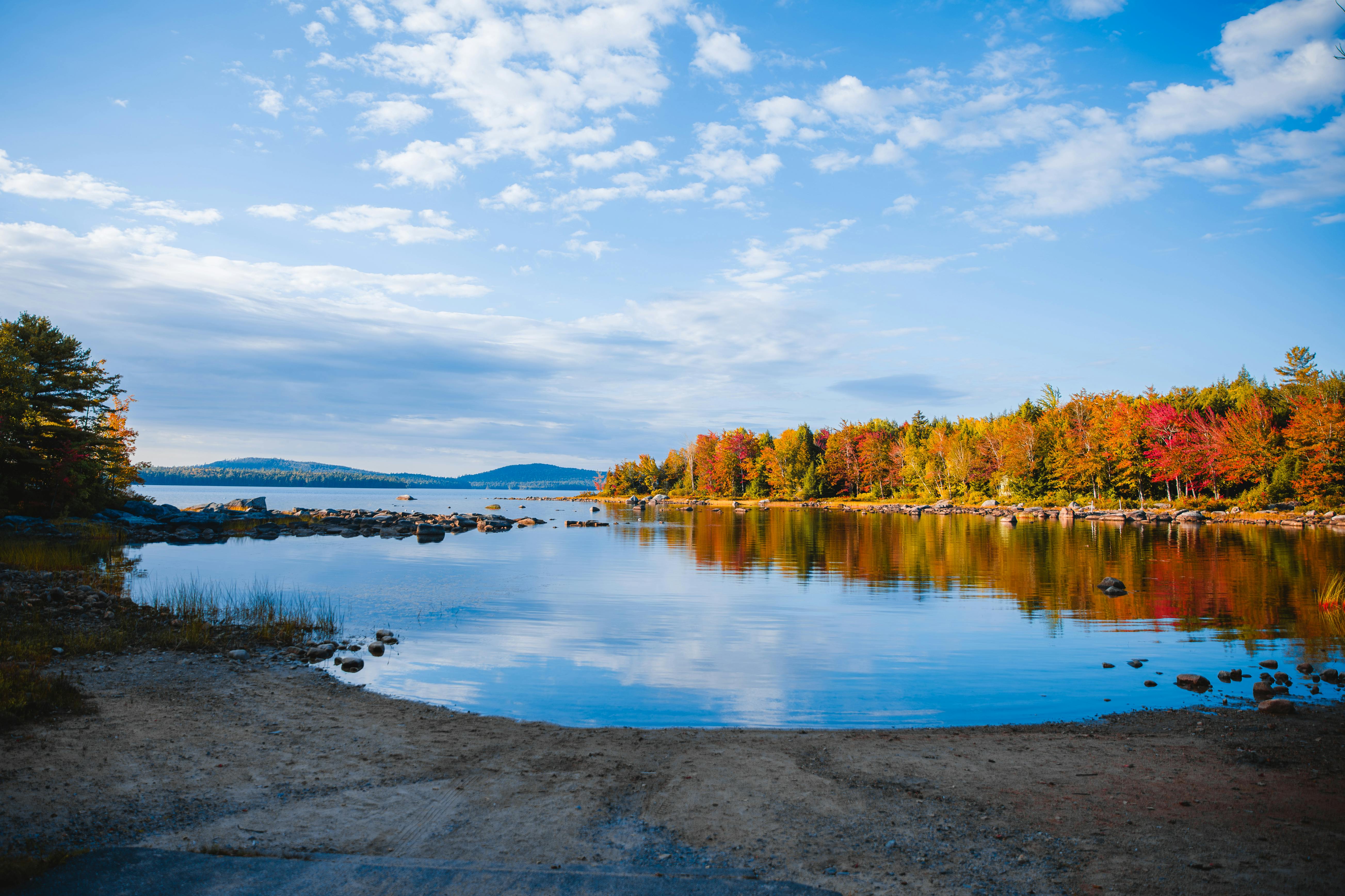 Maine college adding online programs for cannabis certifications — Photo by Nicole Seidl on Pexels