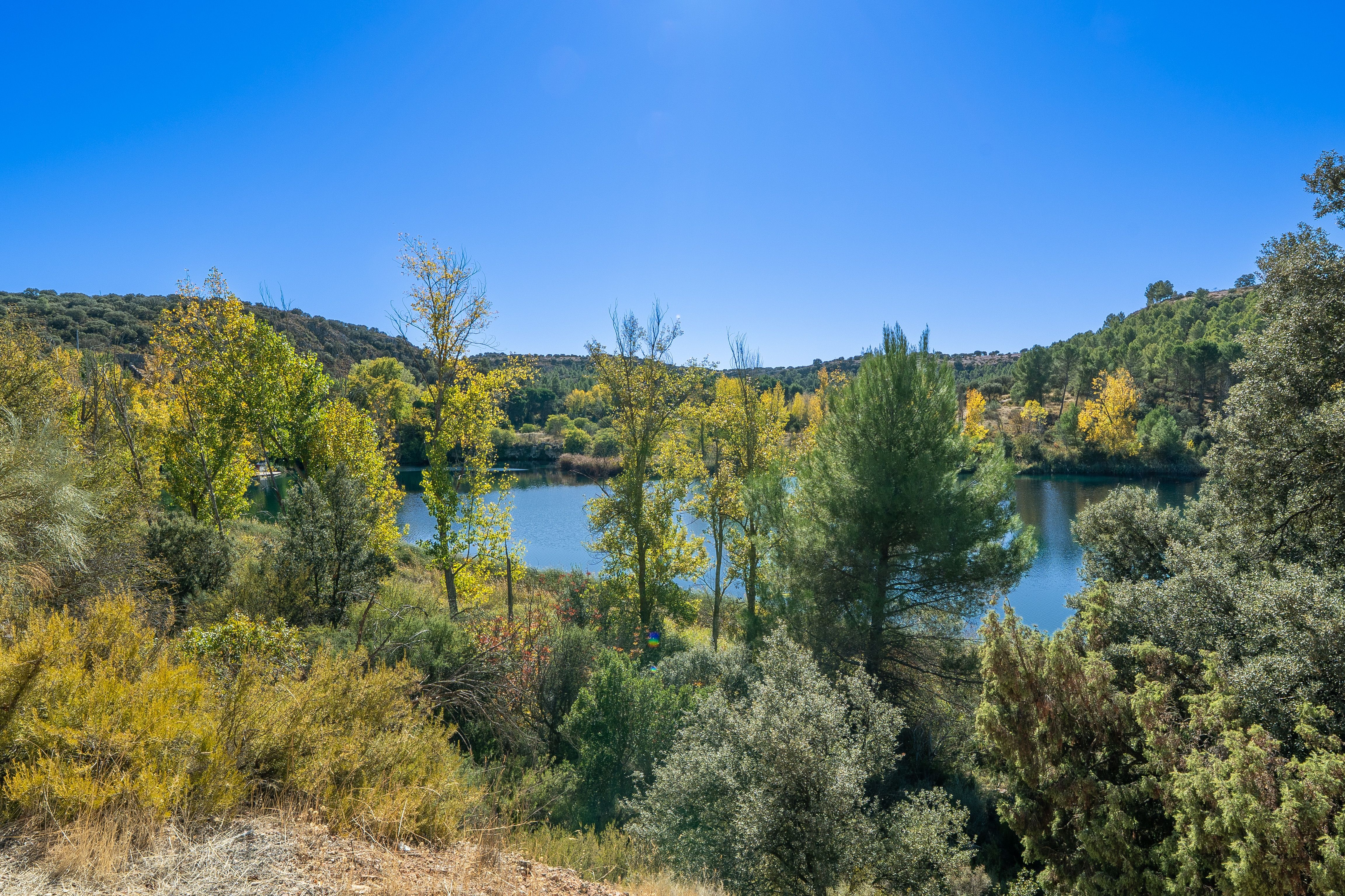Scenic Autumn Lake View with Lush Vegetation · Free Stock Photo