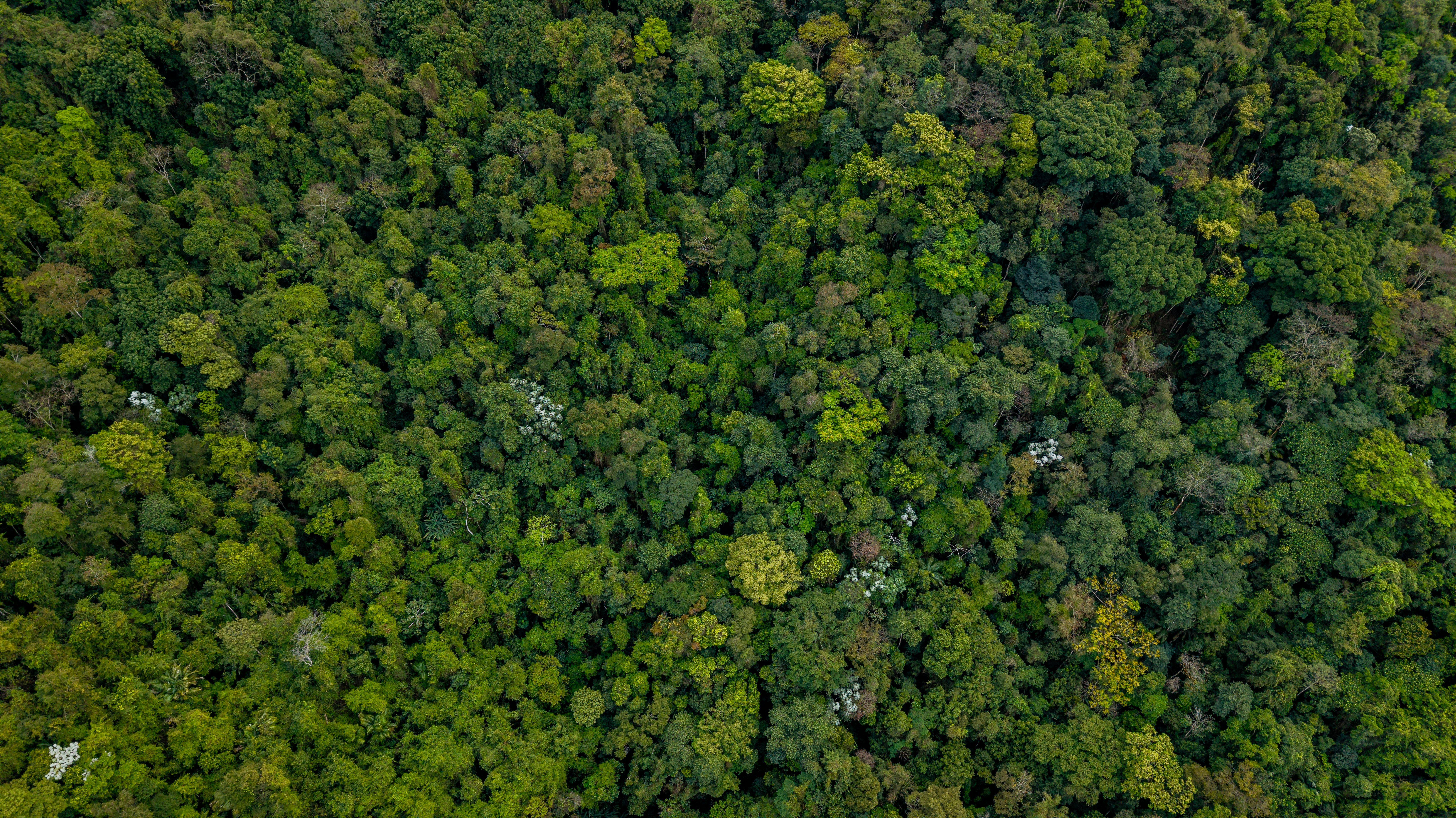 Restoring Planet Earth from Outer Space: How We Can Safeguard Our Future