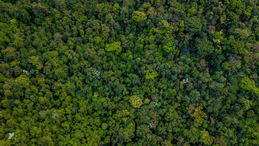 Nature