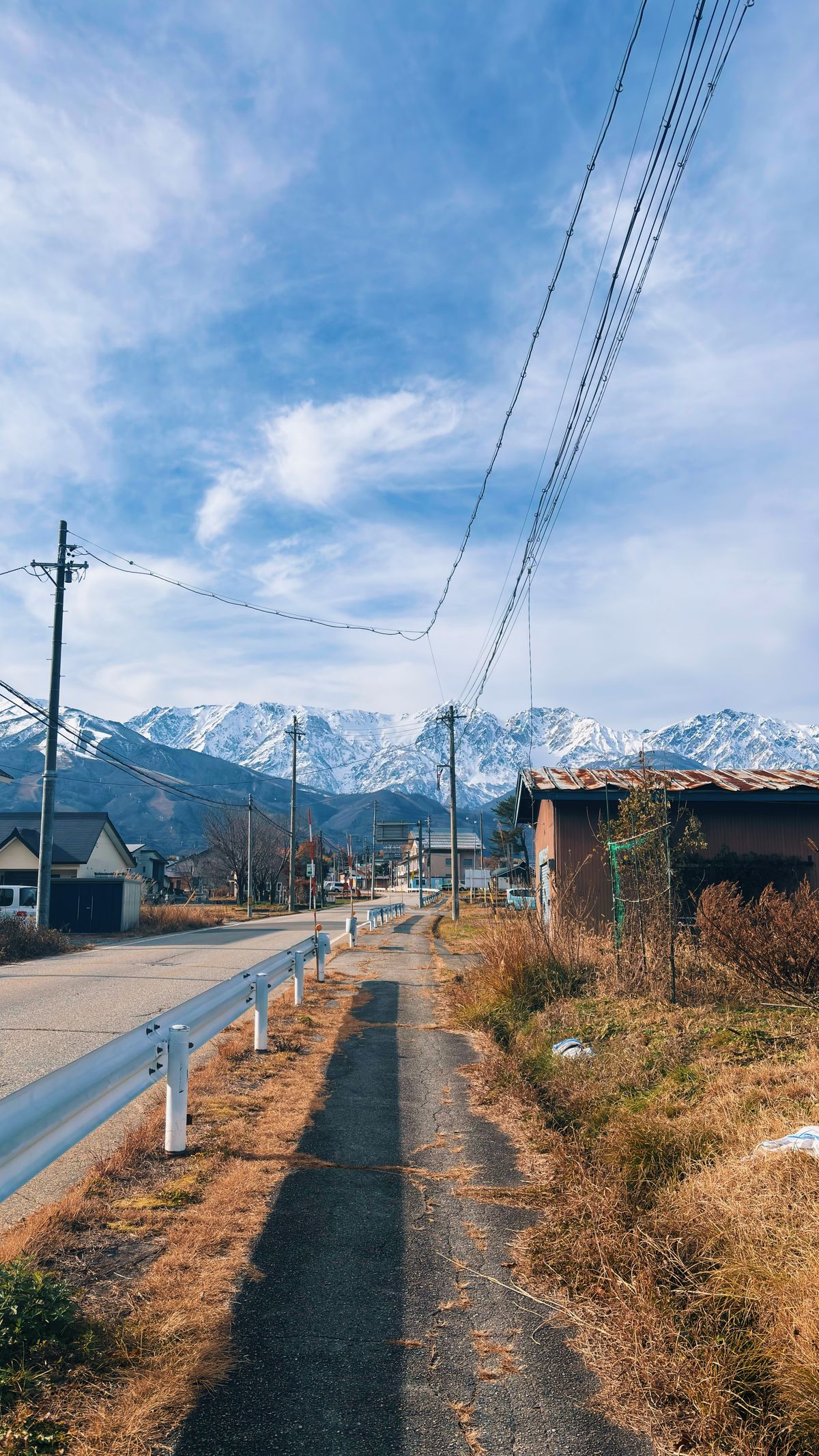 Scenic winter road in Hakuba, Japan, with snow-laden trees lining the way