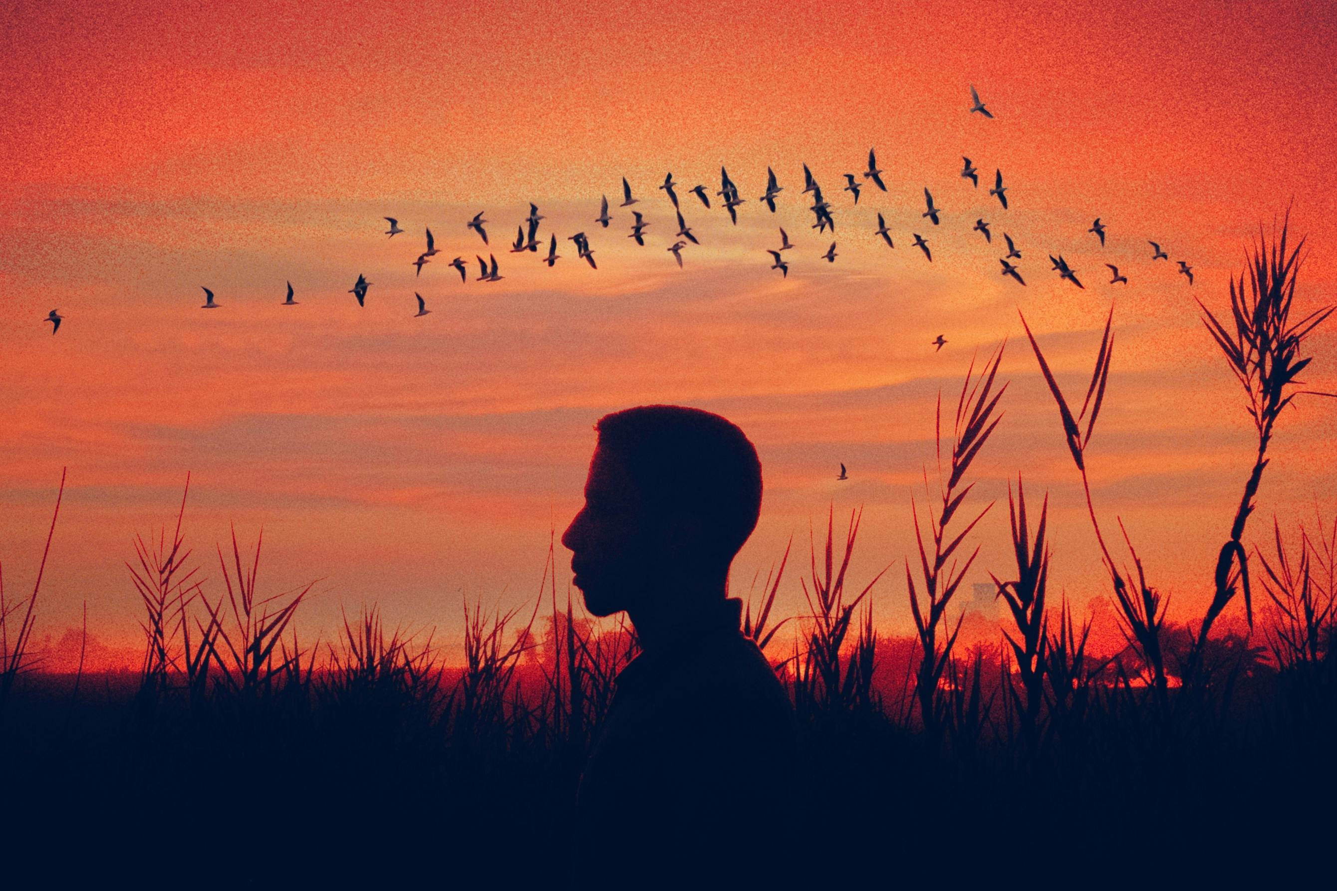 2025臺灣國際觀鳥馬拉松閉幕 驚艷222種鳥種與8大主題活動延至3月