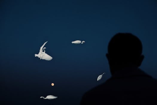 A man watches white birds in flight against a dark evening sky.