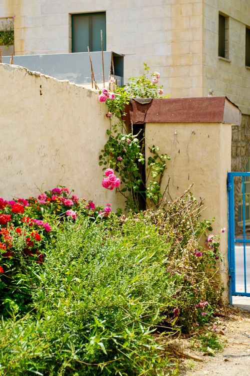 Free Colorful flowers and greenery flourishing by a rustic stone wall. Perfect for summer themes. Stock Photo