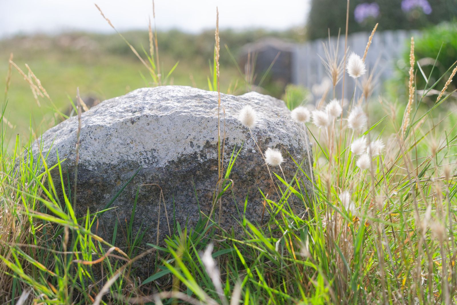 Bloc de granit parmi les lagures duveteux dans une lumière douce