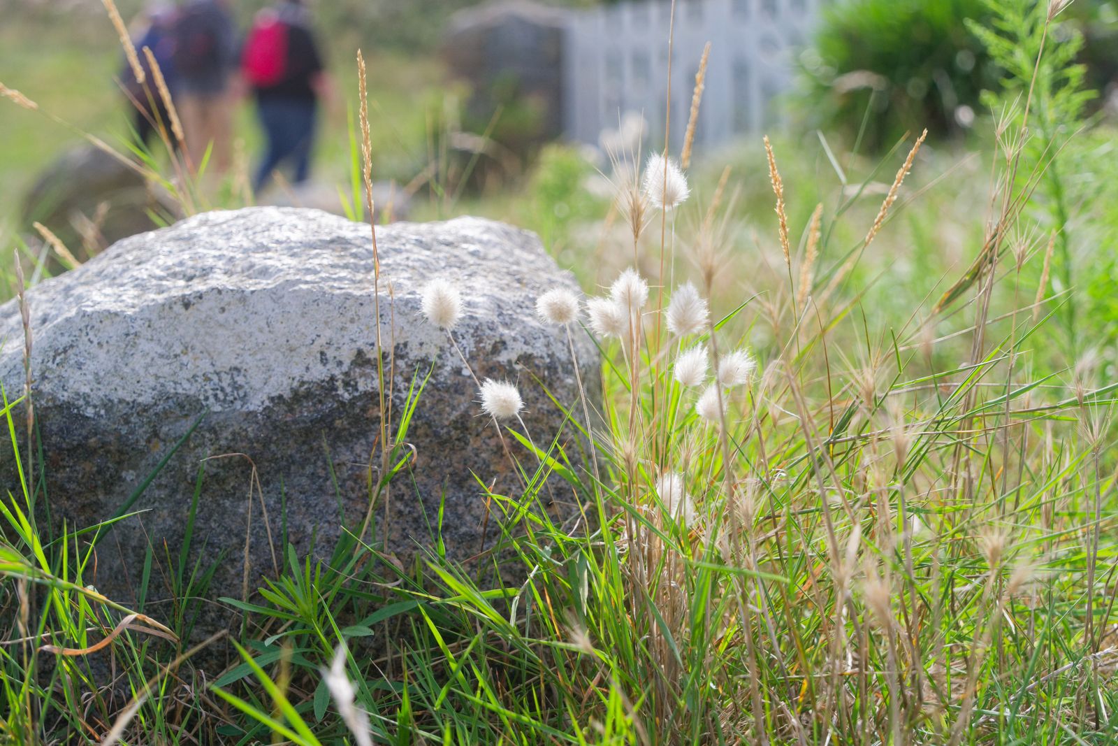 Bloc de granit et lagures avec des promeneurs flous à l'arrière-plan