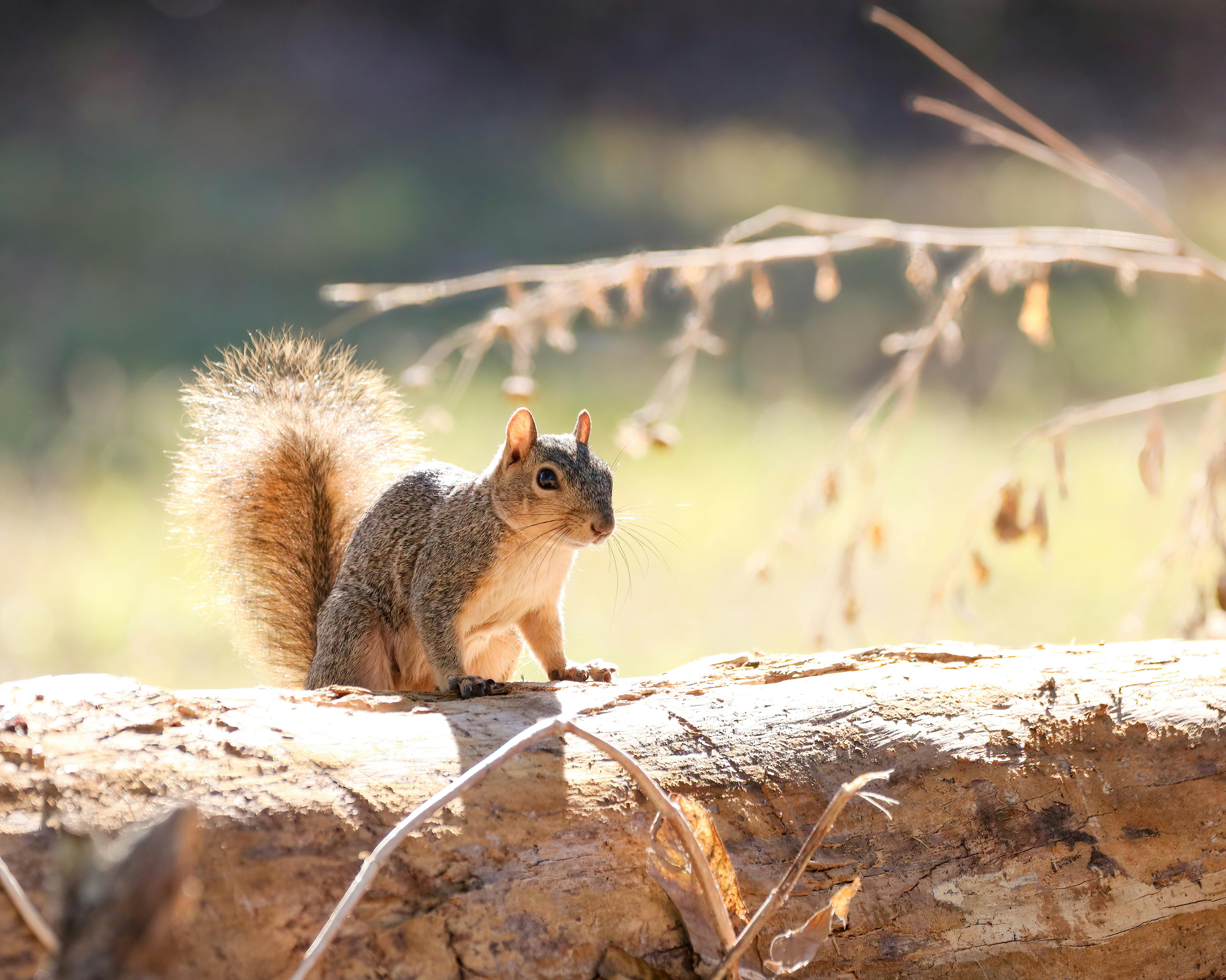 Celebrating Small Wins: The Path to Long-Term Success