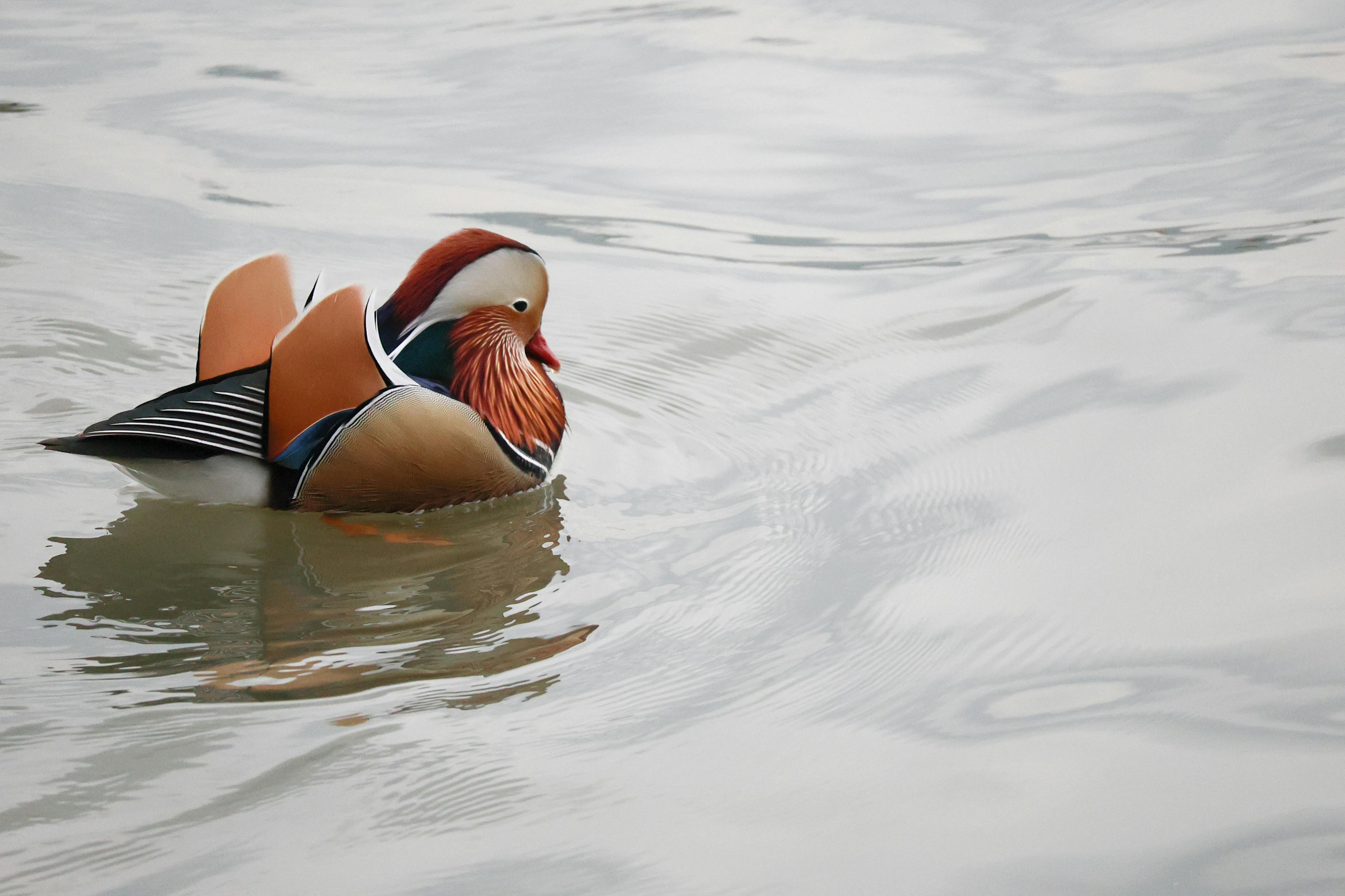 財經：IMF總裁下周訪華，將公布中國經濟年度磋商結果