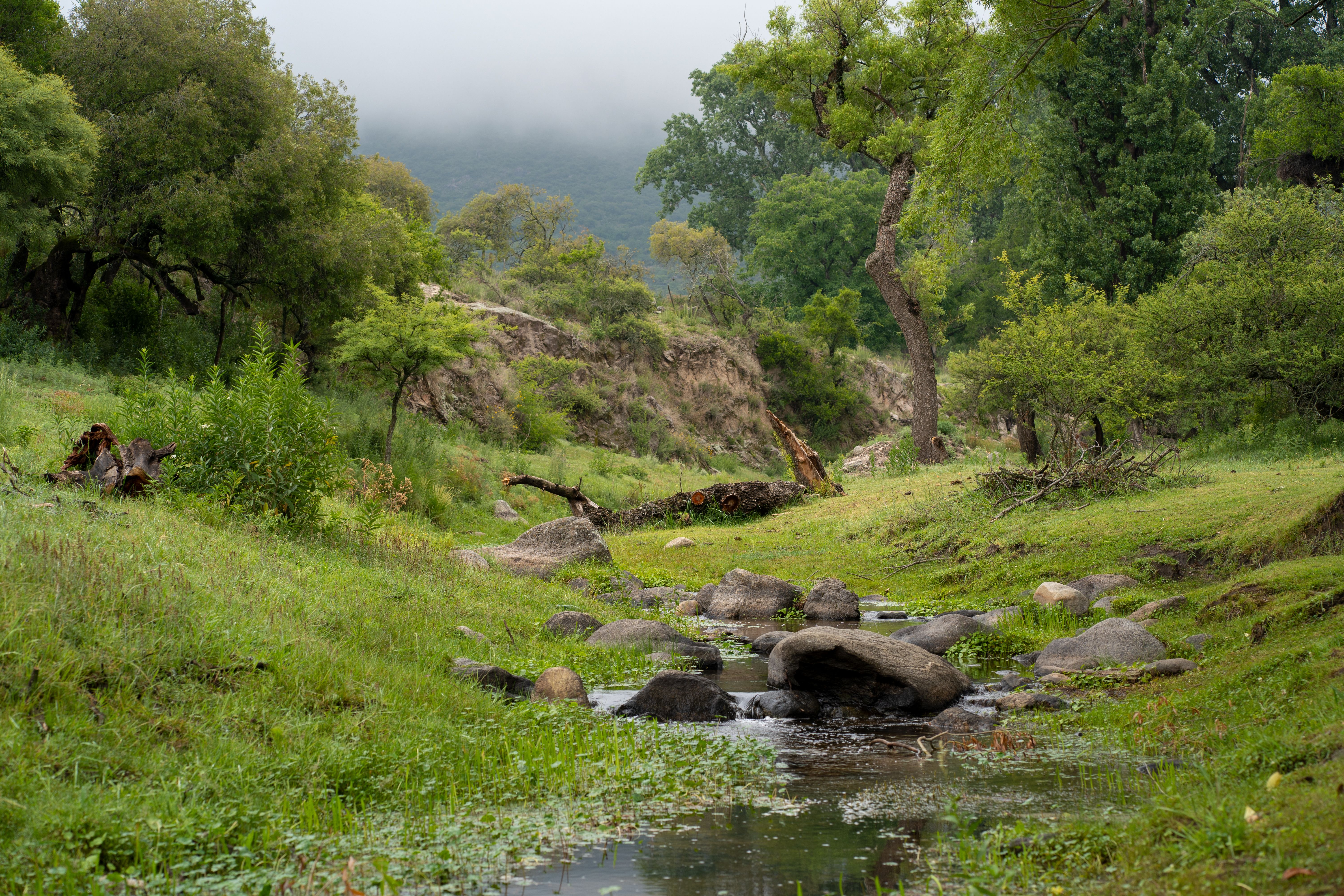 7 Day Music & Movement - Pilates, Yoga & Functional Retreat in MX 1