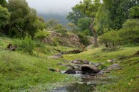 Scenic Verdant Creek in Córdoba with Fog