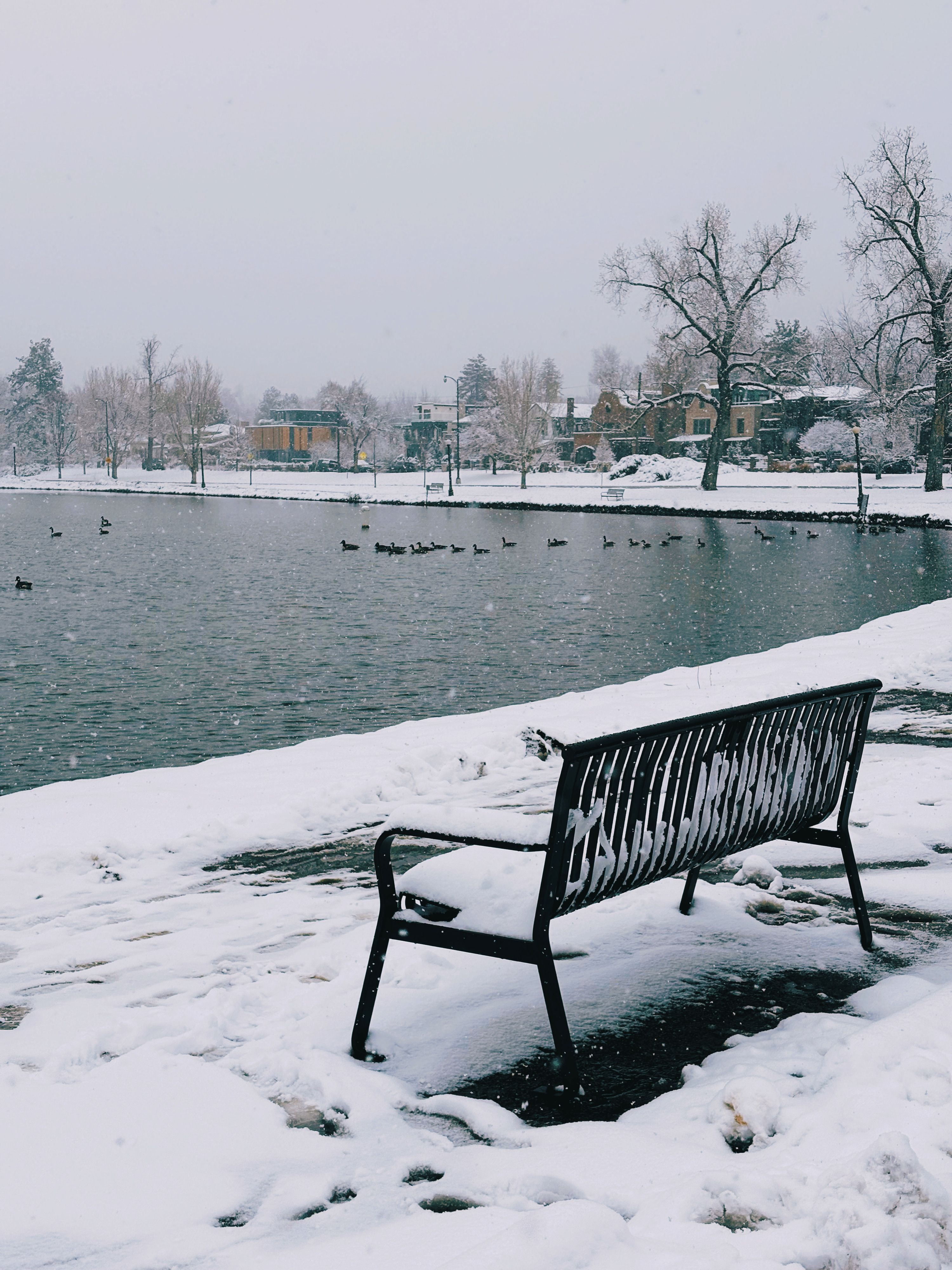Serene Winter Scene with Snowy Lake and Bench · Free Stock Photo