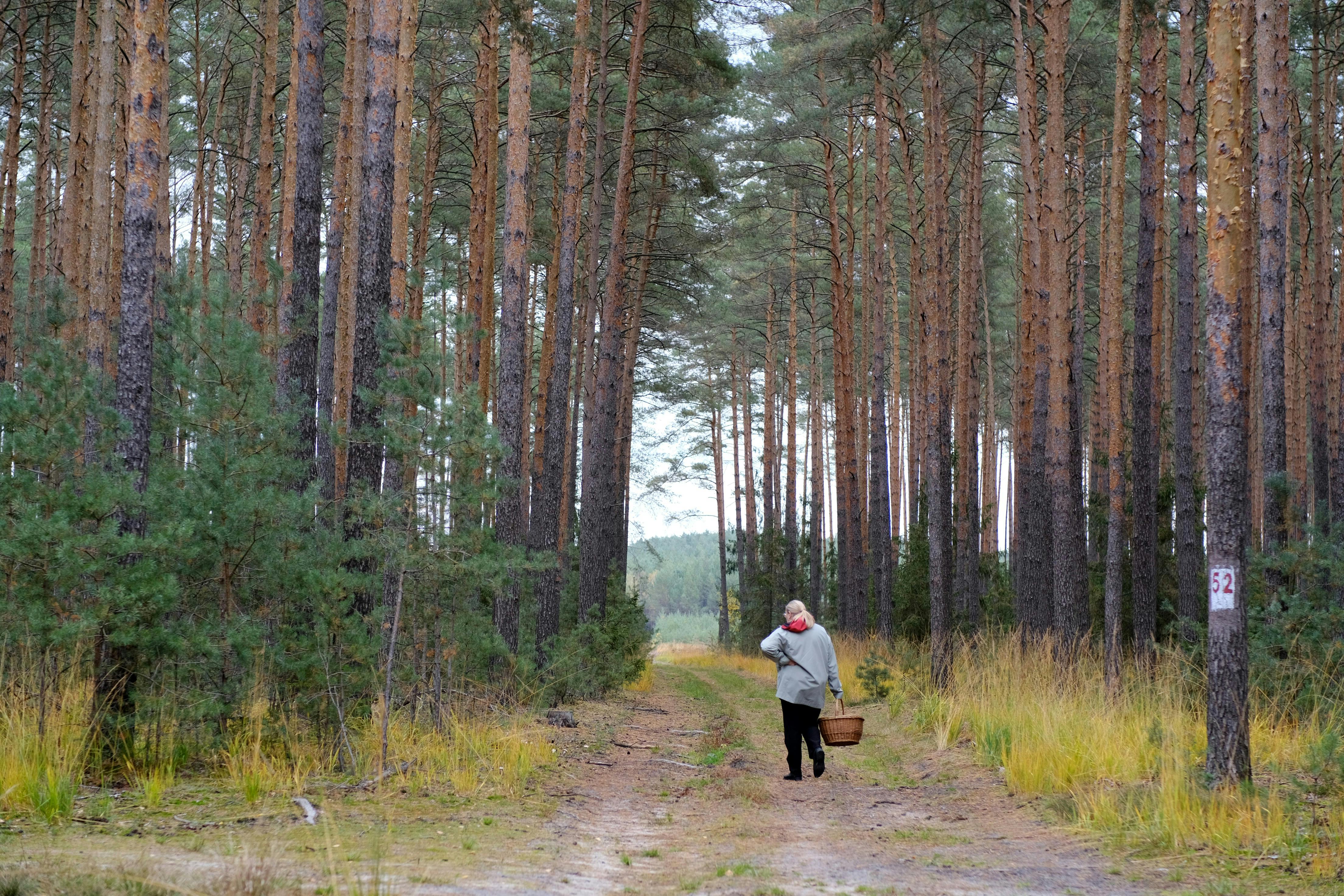 Persona caminando en la naturaleza — el movimiento ayuda a reducir el estrés