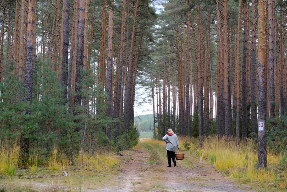 Person walking outside in nature — movement helps reduce stress