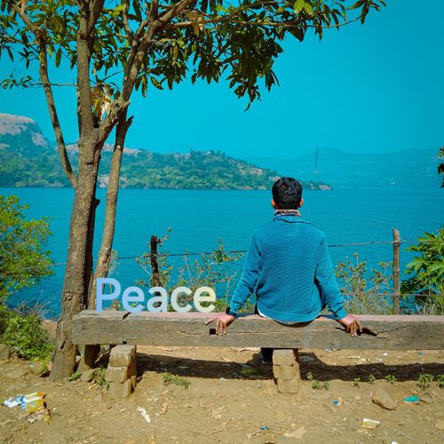 Free Seeking Serenity Stock Photo