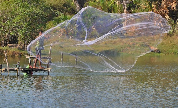 Free stock photo of fisherman, fishing, lagoon