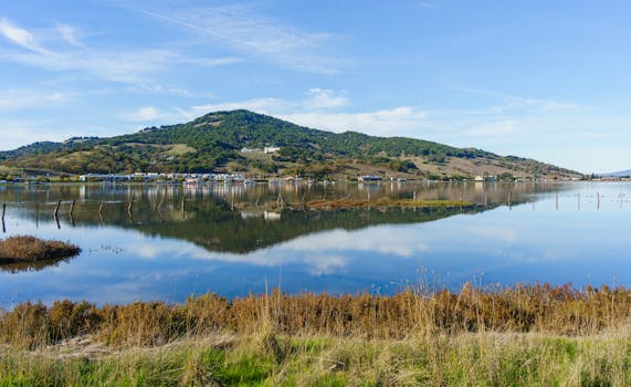 Sonoma, United States photo 11