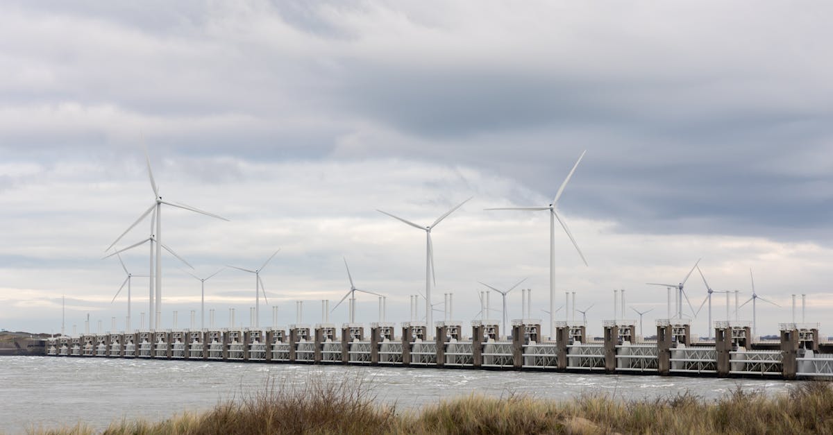 為什麼科技巨頭們紛紛承諾使用潔淨能源?