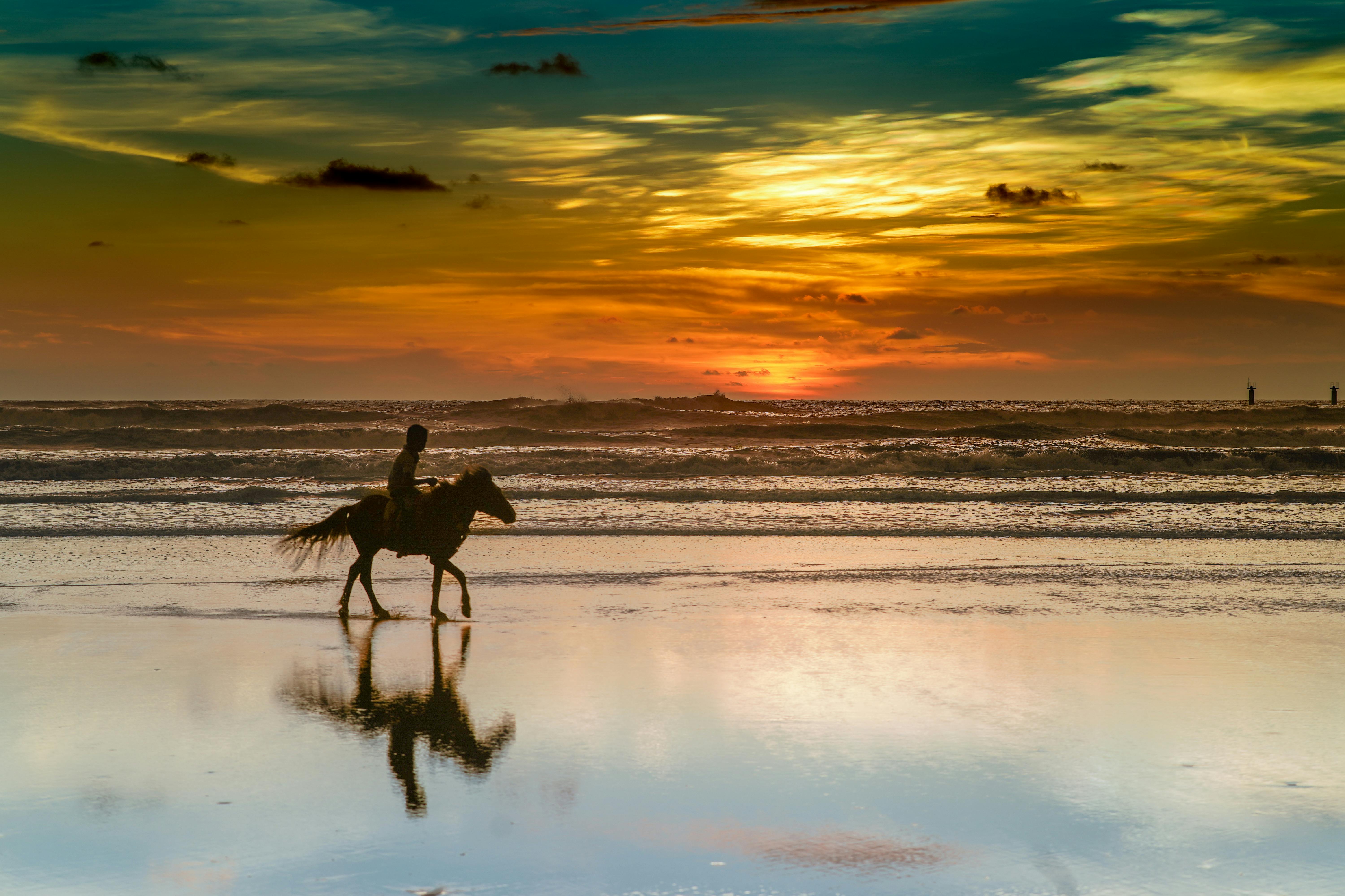 A dramatic silhouette of horseback riding at sunset on Cox's Bazar beach, Bangladesh.
