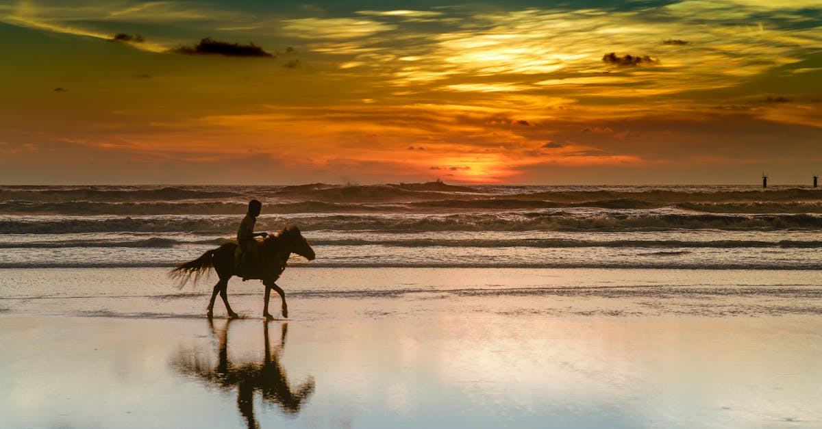 A dramatic silhouette of horseback riding at sunset on Cox's Bazar beach, Bangladesh.