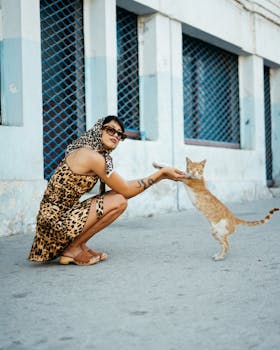 Stylish woman in leopard print interacts with a cat on a street in Agadir, Morocco.