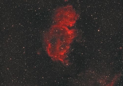 Free A mesmerizing view of a red nebula set against a vast, star-filled night sky. Stock Photo