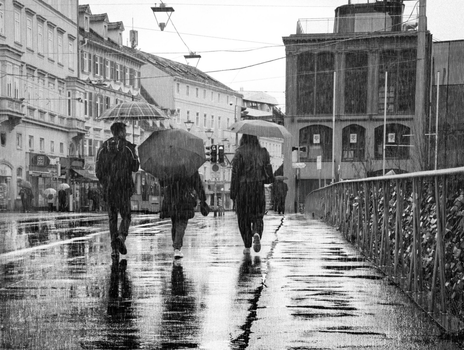 People walking with umbrellas on a rainy street in black and white.