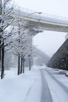A serene winter scene with a snow-covered road and city overpass.