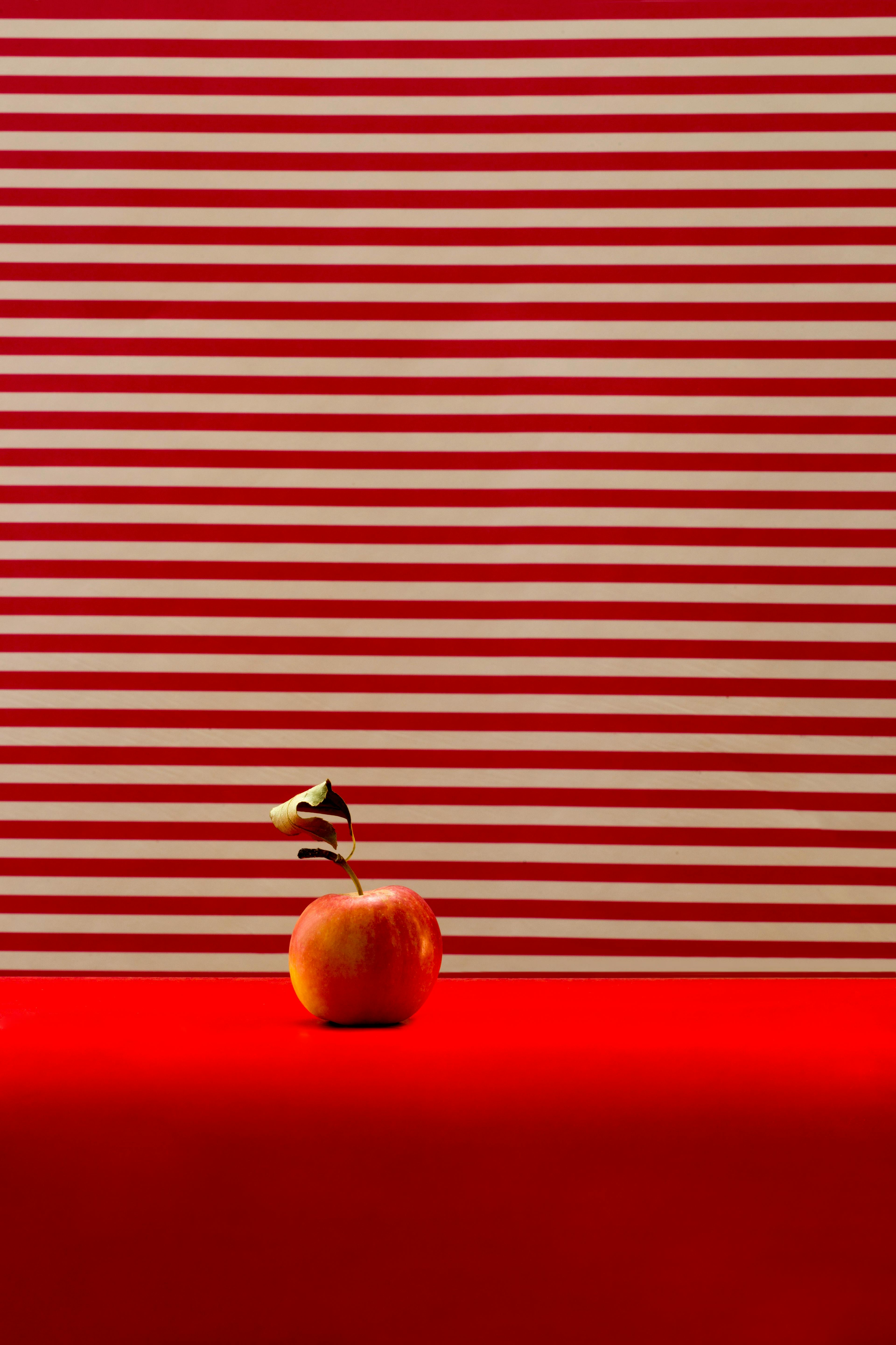 무료 무늬가 있는 줄무늬 배경에 밝은 빨간색 표면에 사과 하나를 올려놓아 미니멀한 느낌을 연출했습니다. 스톡 사진