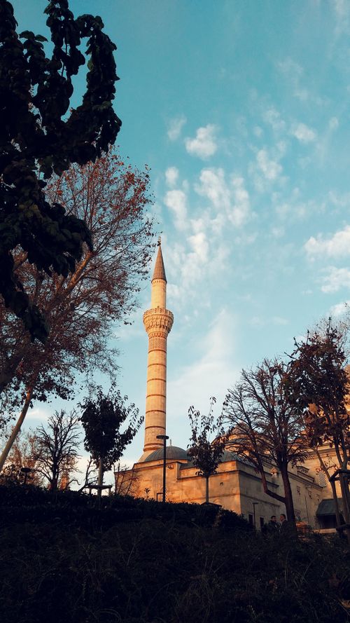 Free Tall minaret rising against a clear blue sky taken from a low angle, surrounded by trees. Stock Photo