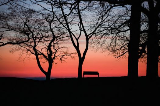 Silhouette of trees and bench against a vibrant sunset sky.