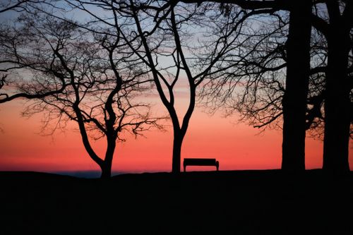 Free Silhouette of trees and bench against a vibrant sunset sky. Stock Photo