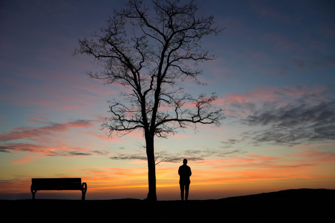 a solitary man stands by a tree at sunset creating a serene silhouette