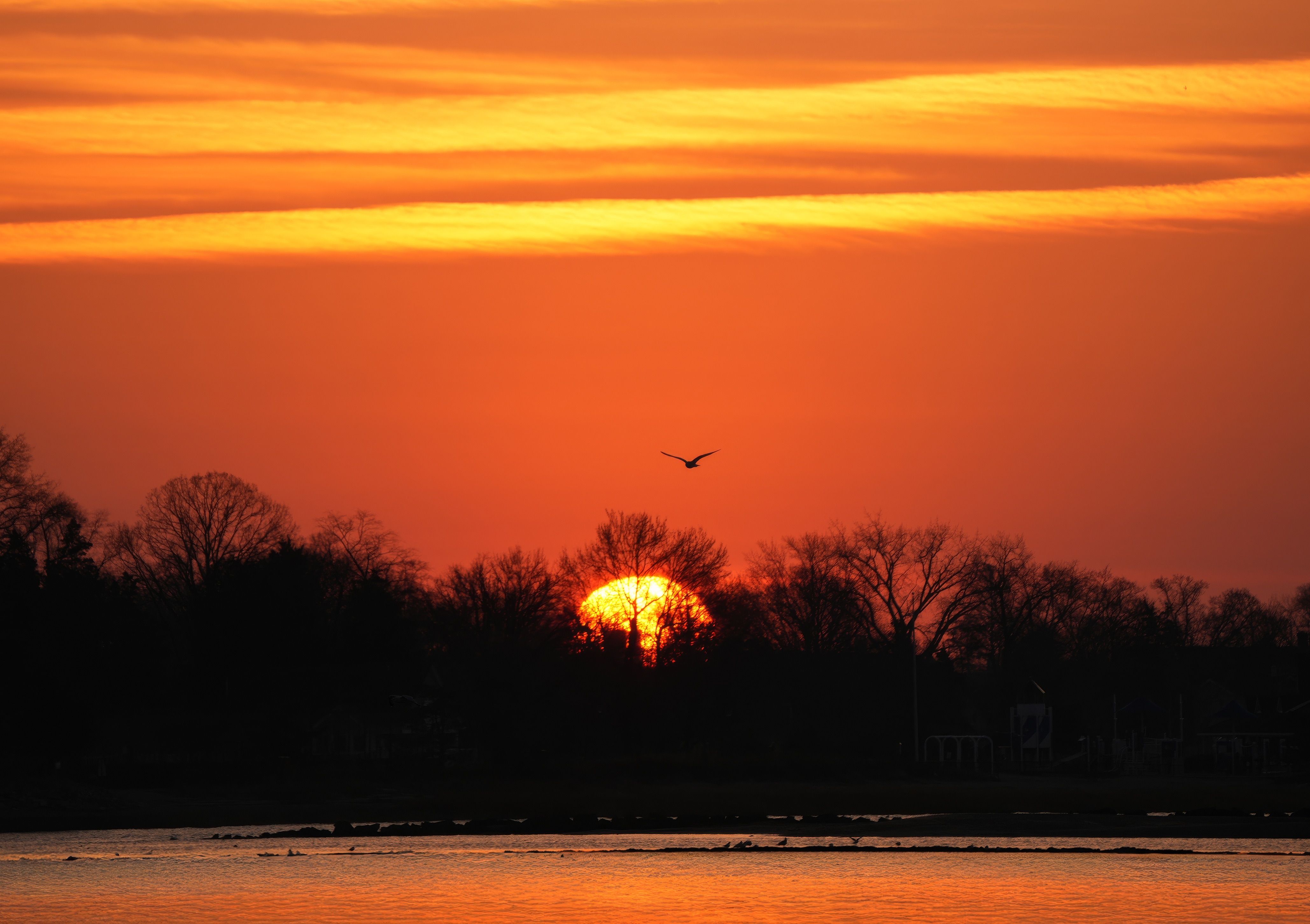 Vibrant Sunset Over Serene Lake with Bird in Flight · Free Stock Photo