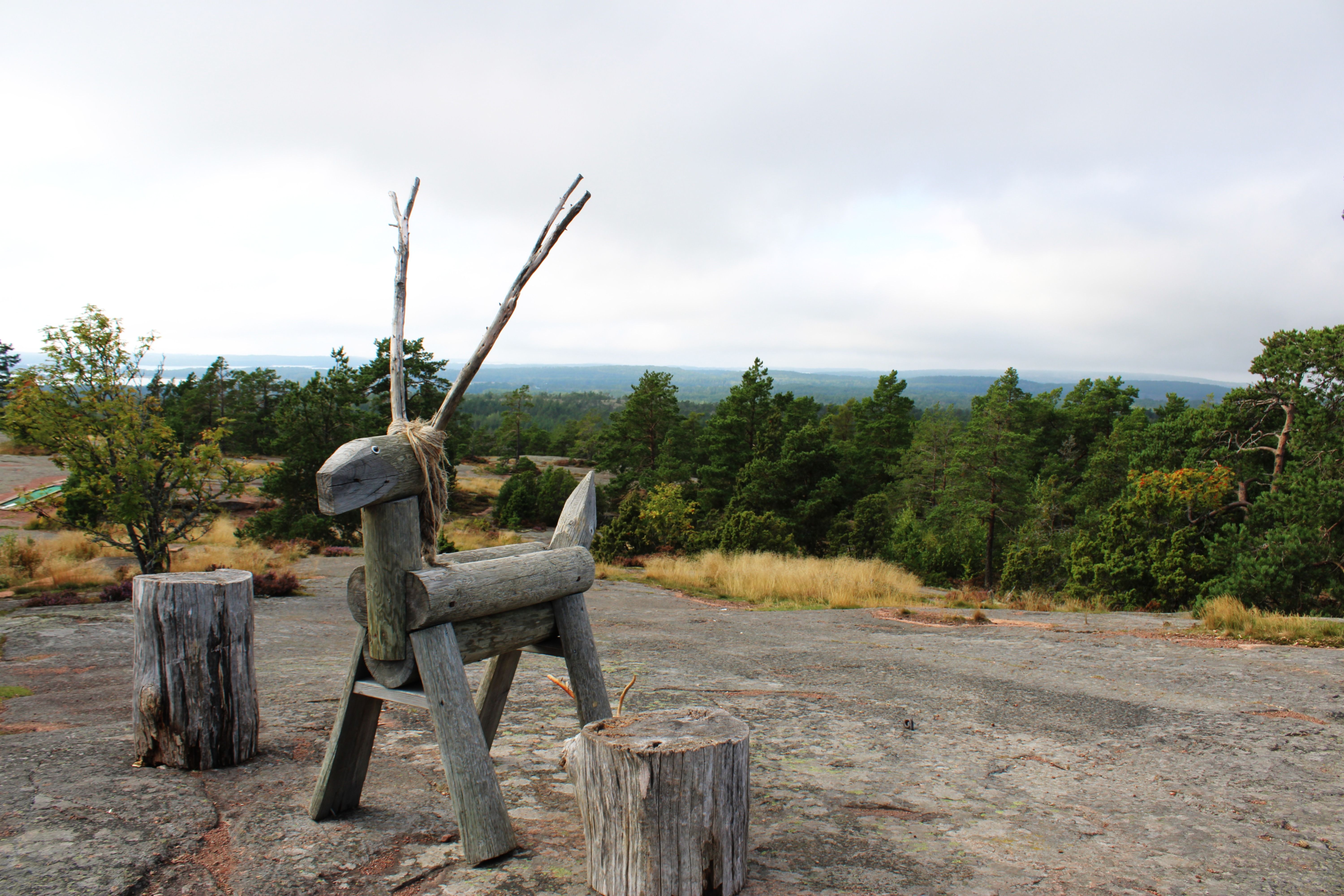 Wooden sculpture resembling animal surrounded by lush greenery and forest views.