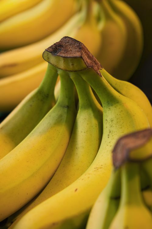 Free A close-up view of fresh organic bananas on display at a market shelf. Stock Photo