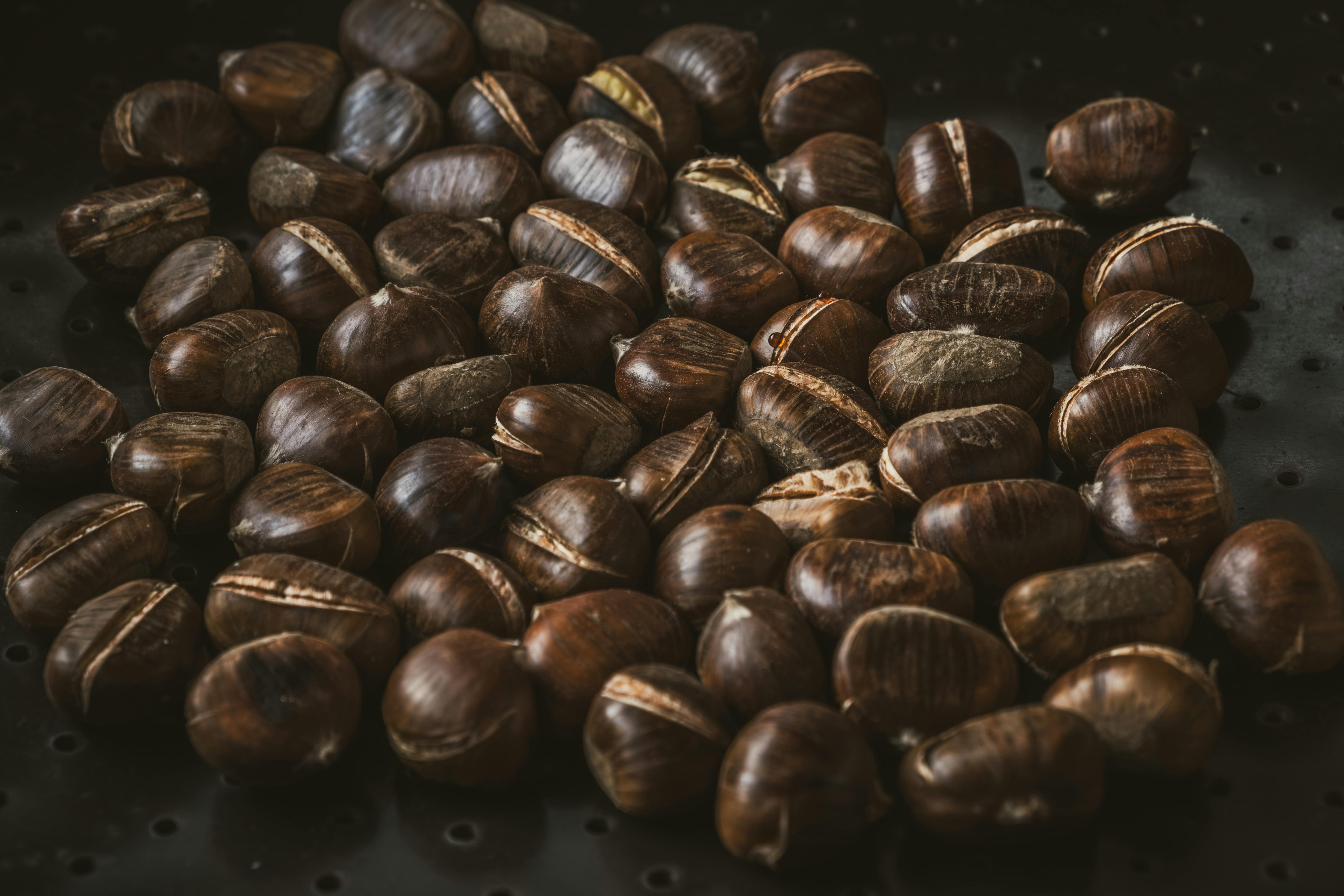 Eco-Friendly Food Trends and Sustainable Eating: Your Guide to a Greener Diet