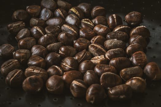 Fresh chestnuts piled up, perfect for winter roasting and seasonal meals.