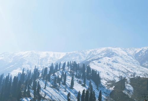 Free Breathtaking view of snow-covered mountains and pines in Gulmarg, Kashmir under a clear blue sky. Stock Photo