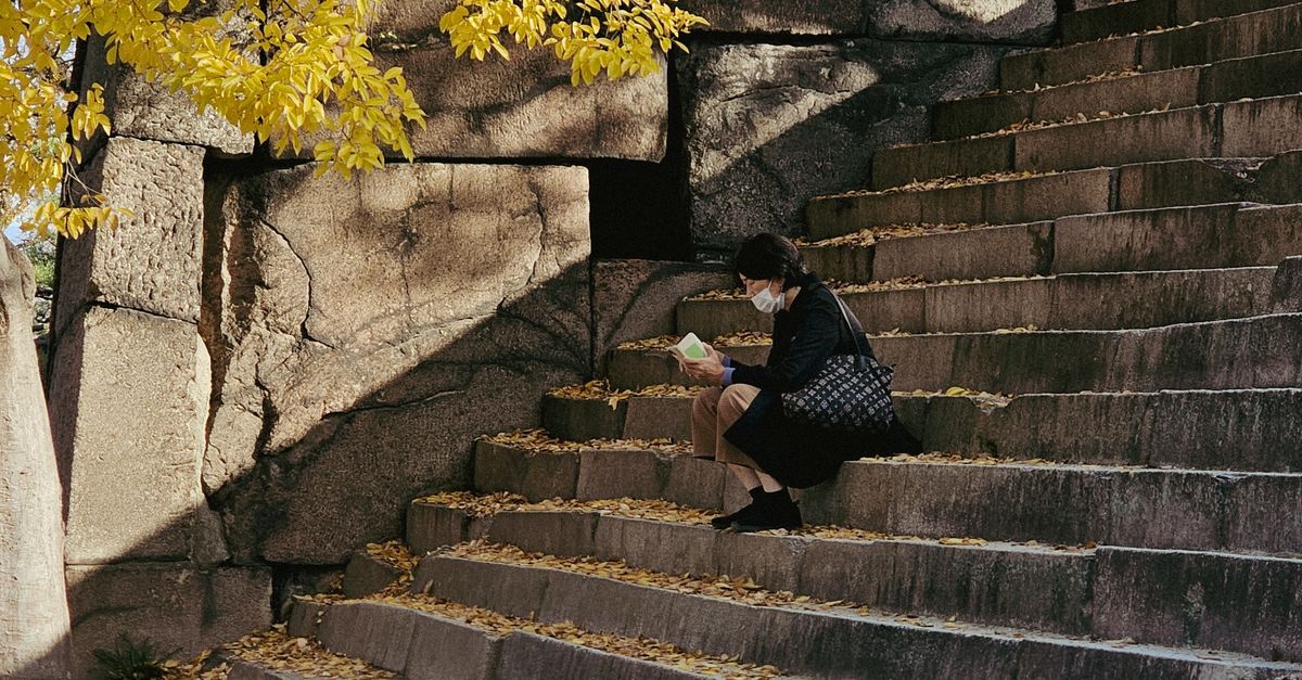 Contemplation Steps Contemplative Moment on Autumn Stone Steps · Free Stock Photo
