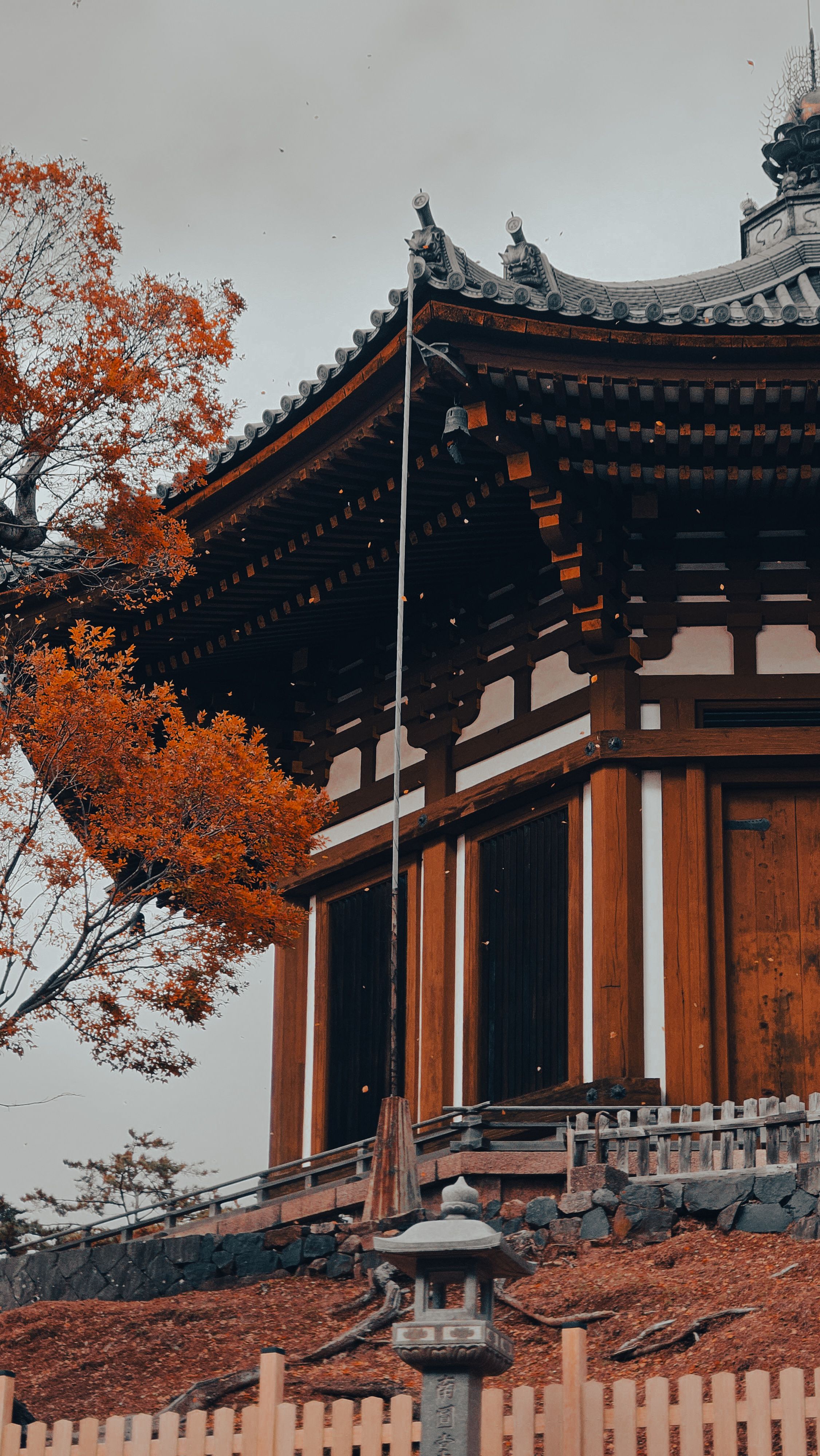 Traditional Japanese Pagoda in Fall Colors · Free Stock Photo
